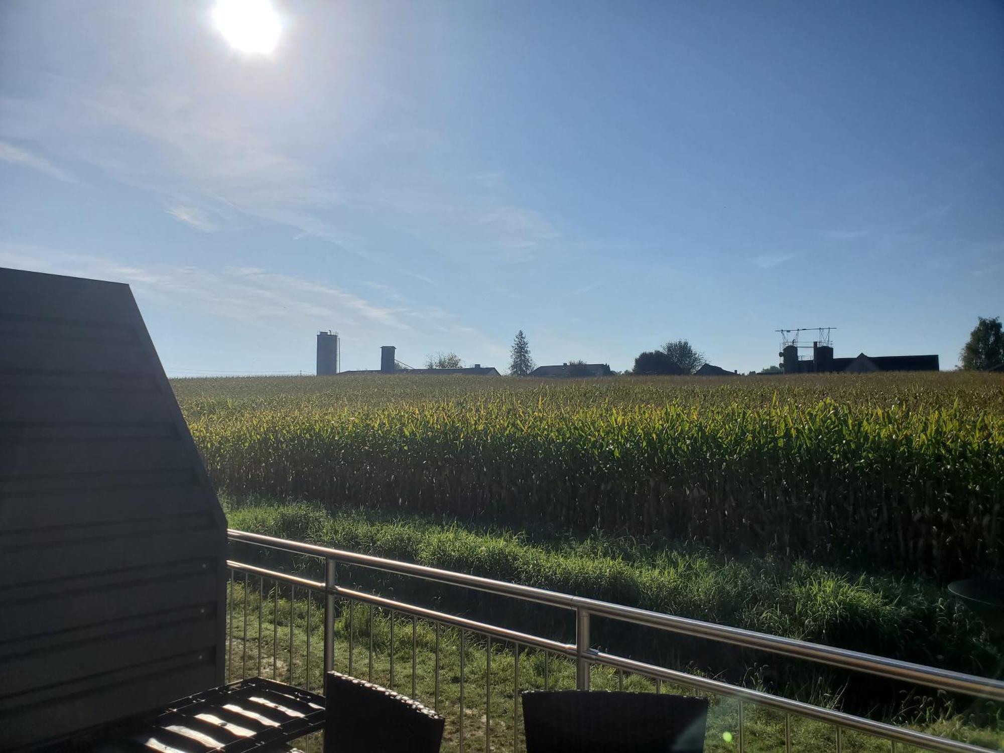 Appartement Herzer Gabersdorf Exteriör bild
